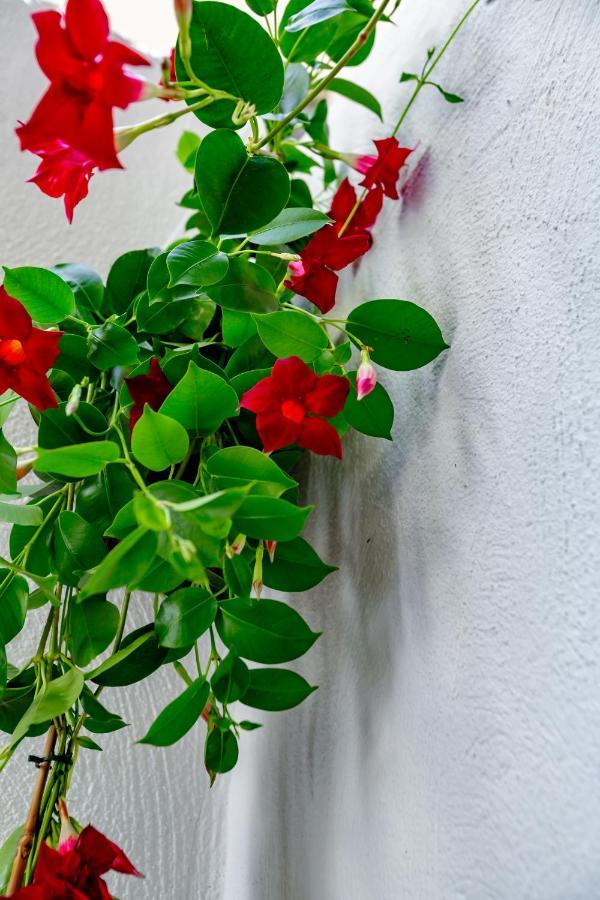 Antonella Home B&B Bari Exterior foto